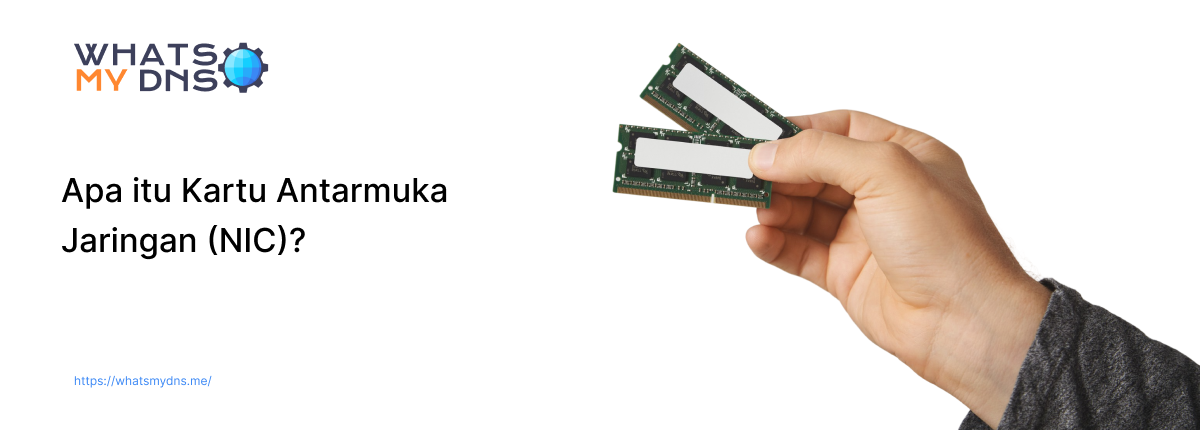 Apa itu Network Interface Card (NIC) | Komponen, Jenis, dan Cara Kerja Dijelaskan